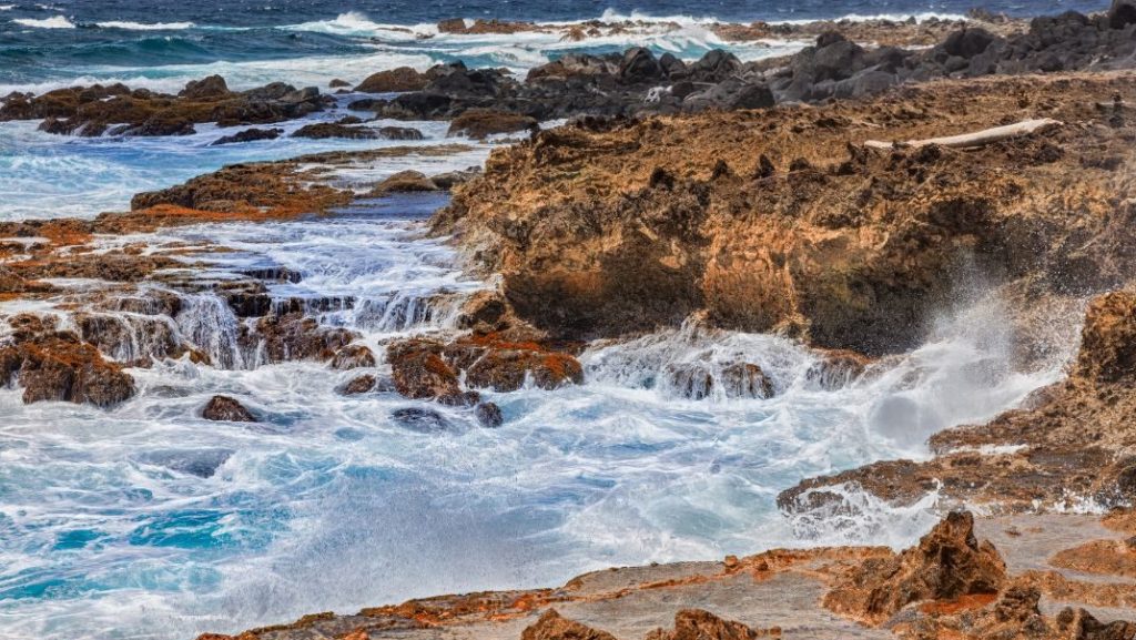 Experience Aruba