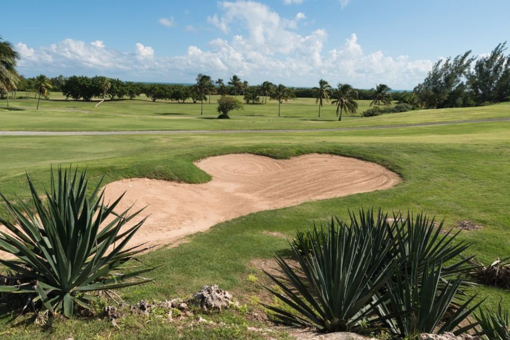 golf in the Bahamas