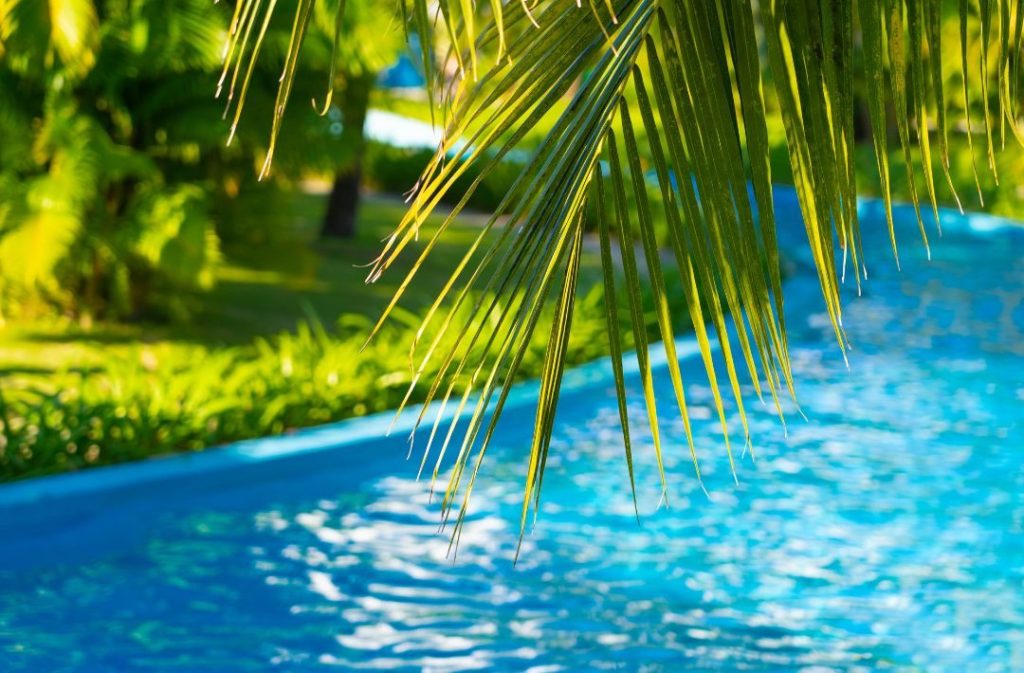 resorts with lazy rivers