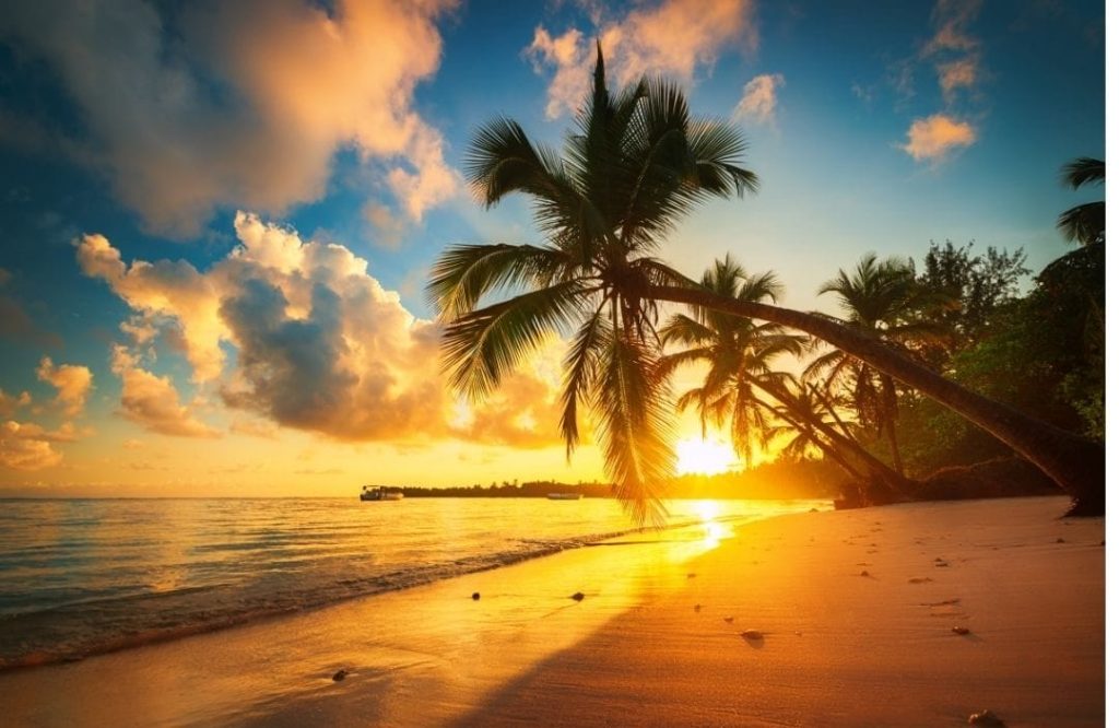 Saona Island