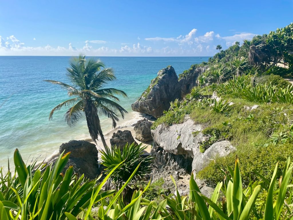 Tropic of Cancer Beach