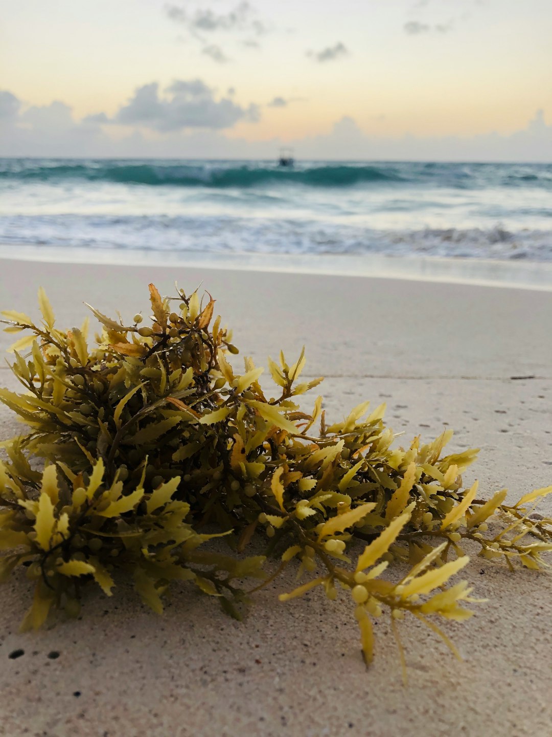 Best Beaches in Puerto Rico